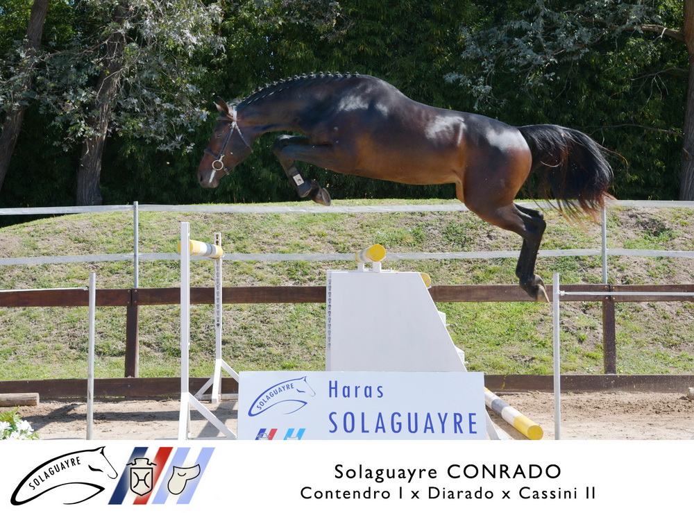 SOLAGUAYRE CONRADO